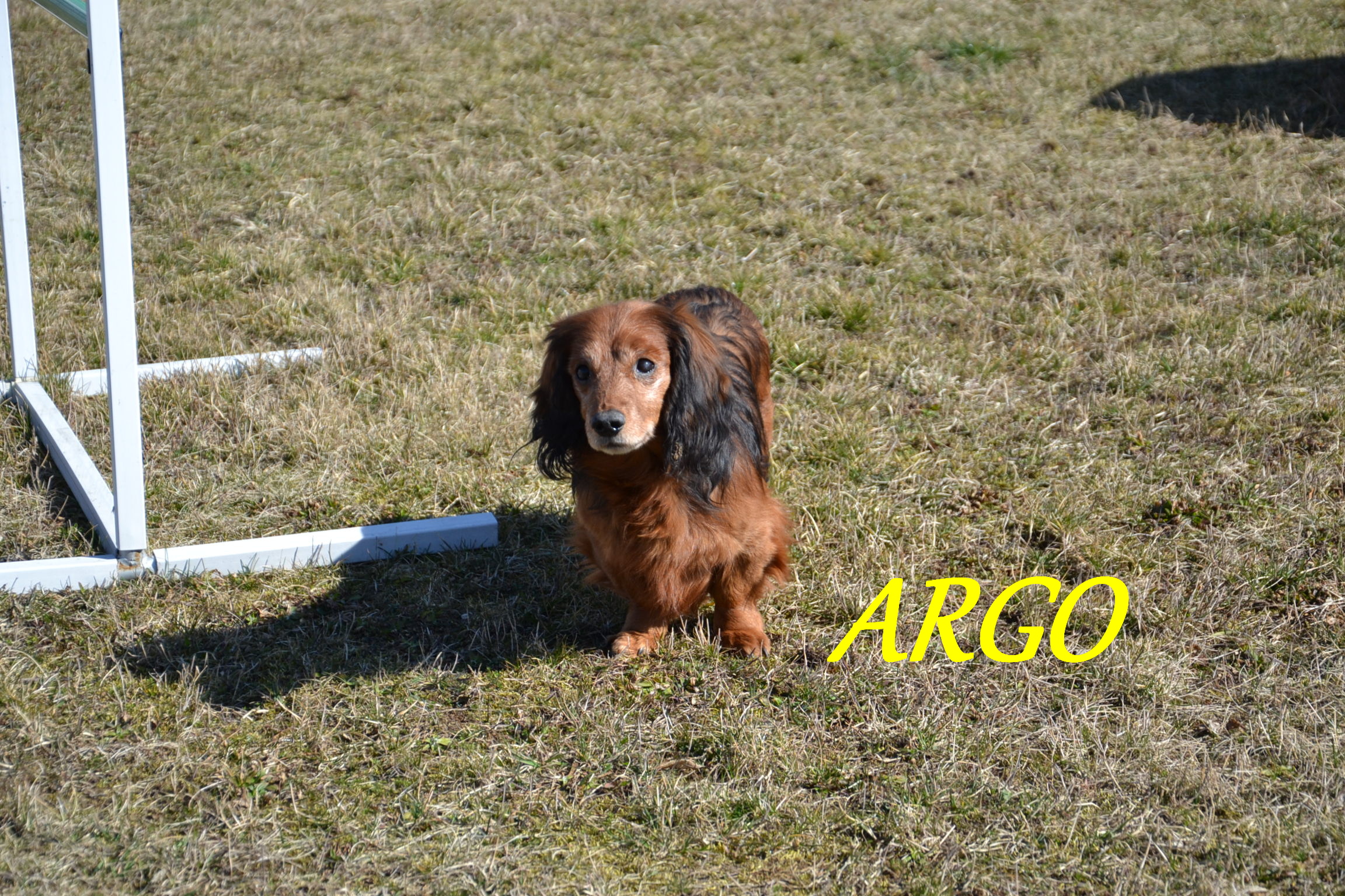Argo, Zoro 166