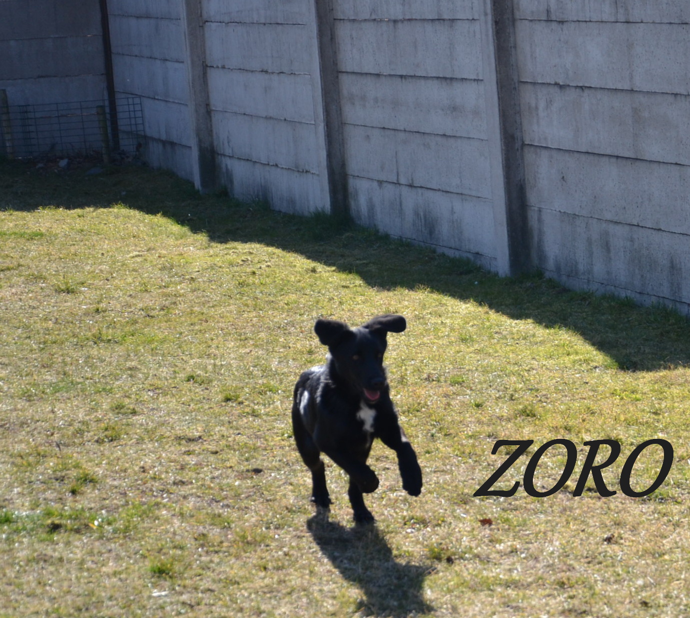 Argo, Zoro 057
