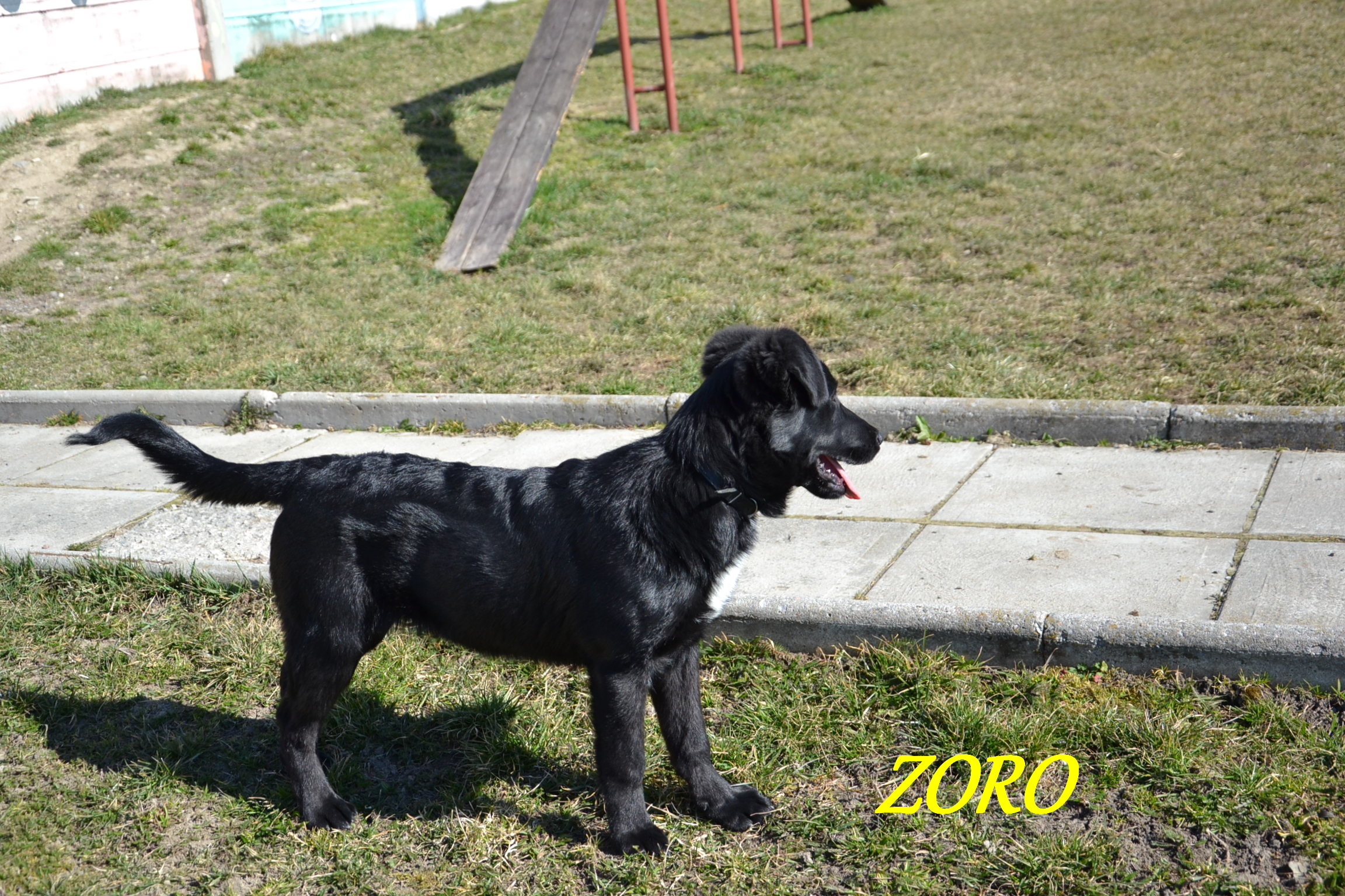 Argo, Zoro 178