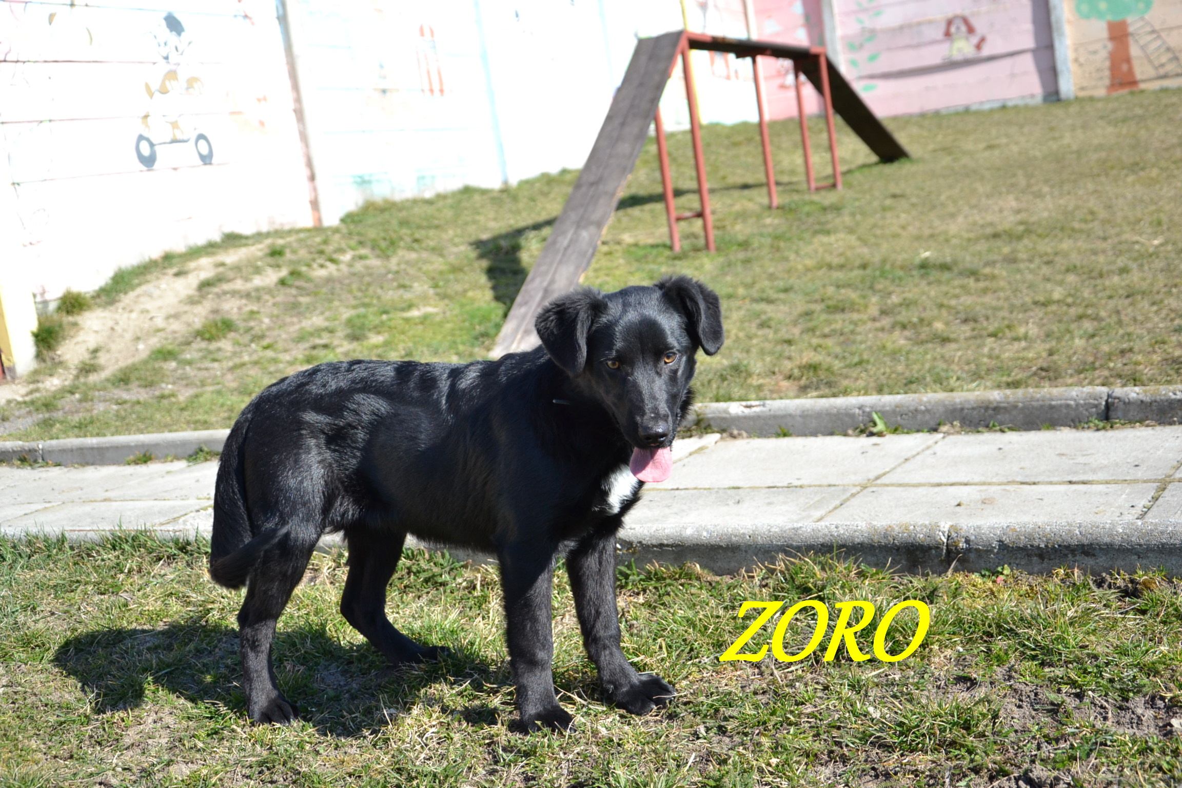 Argo, Zoro 184