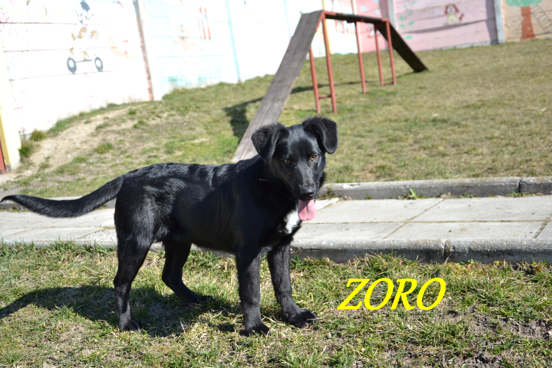 Argo, Zoro 185