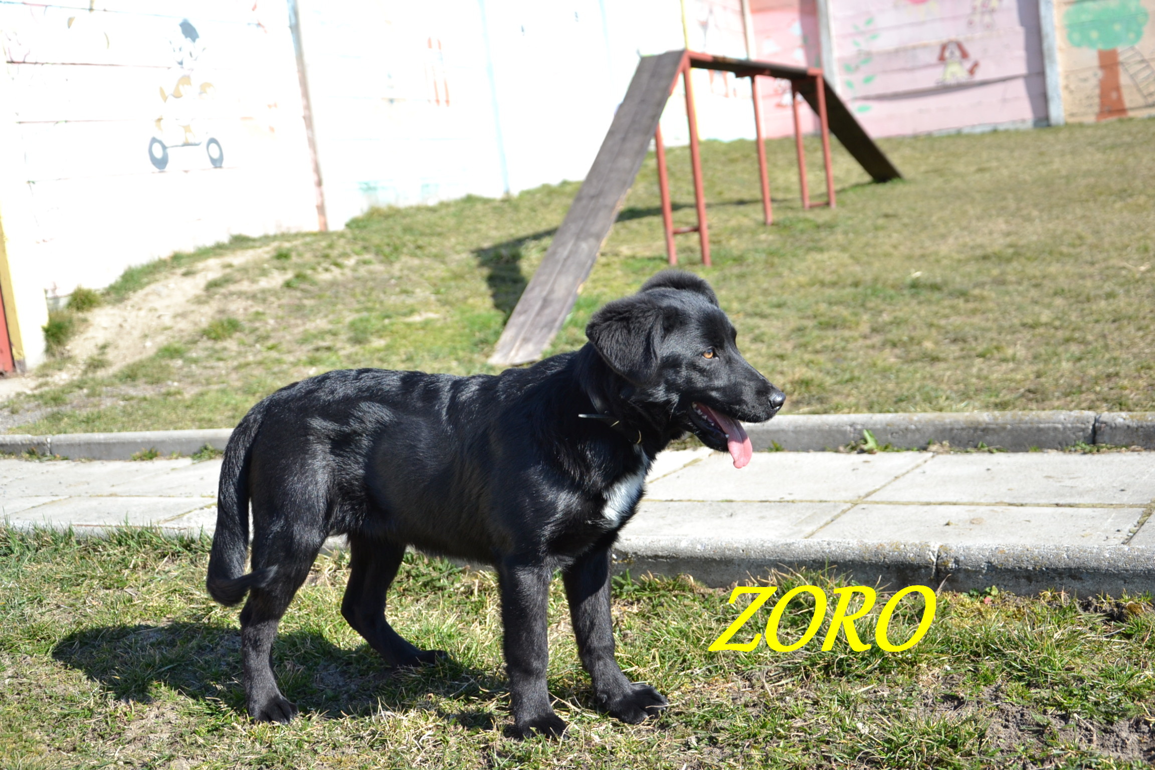 Argo, Zoro 186
