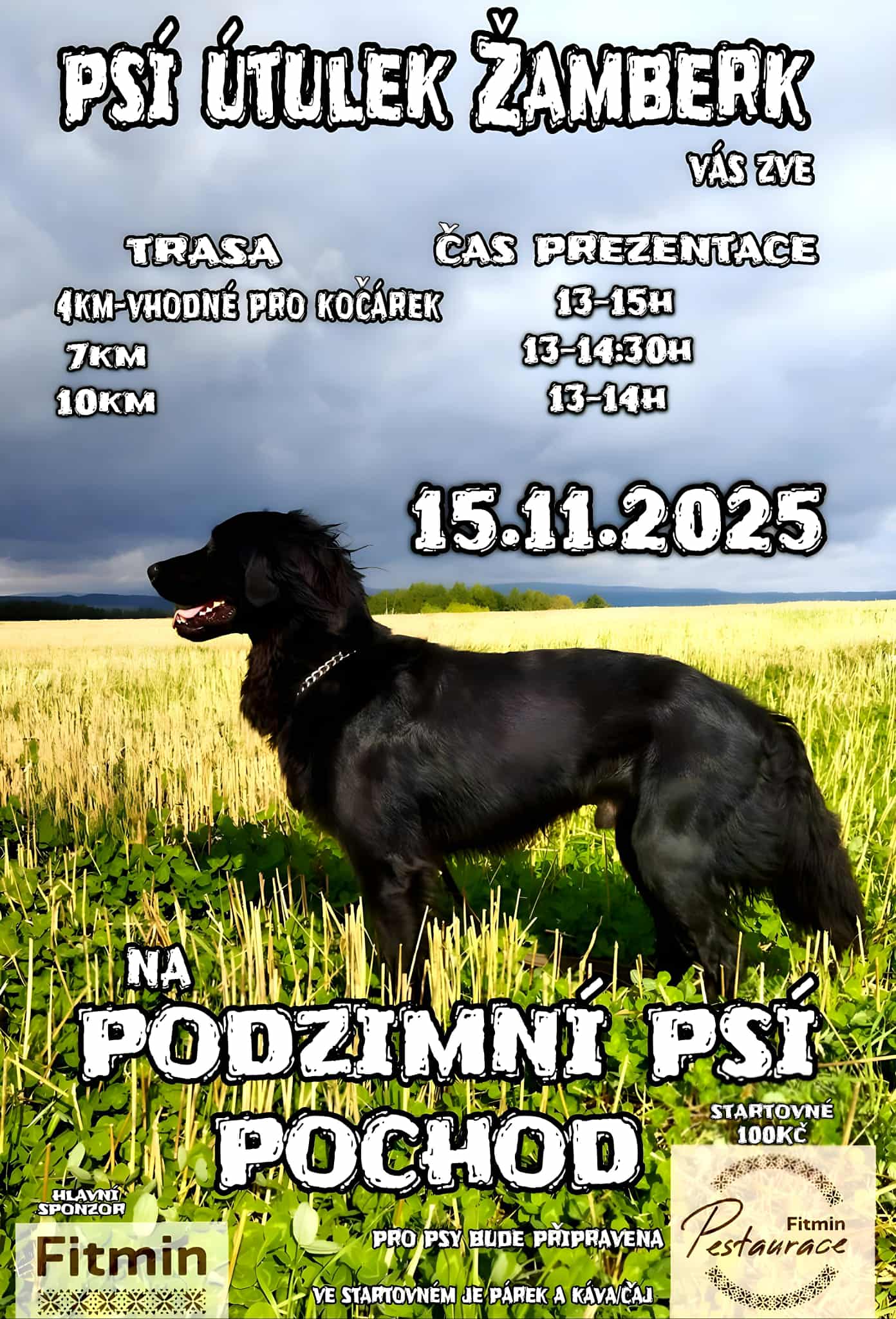 Messenger_creation_F456FA33-989B-4ABD-A0B5-48434548E865