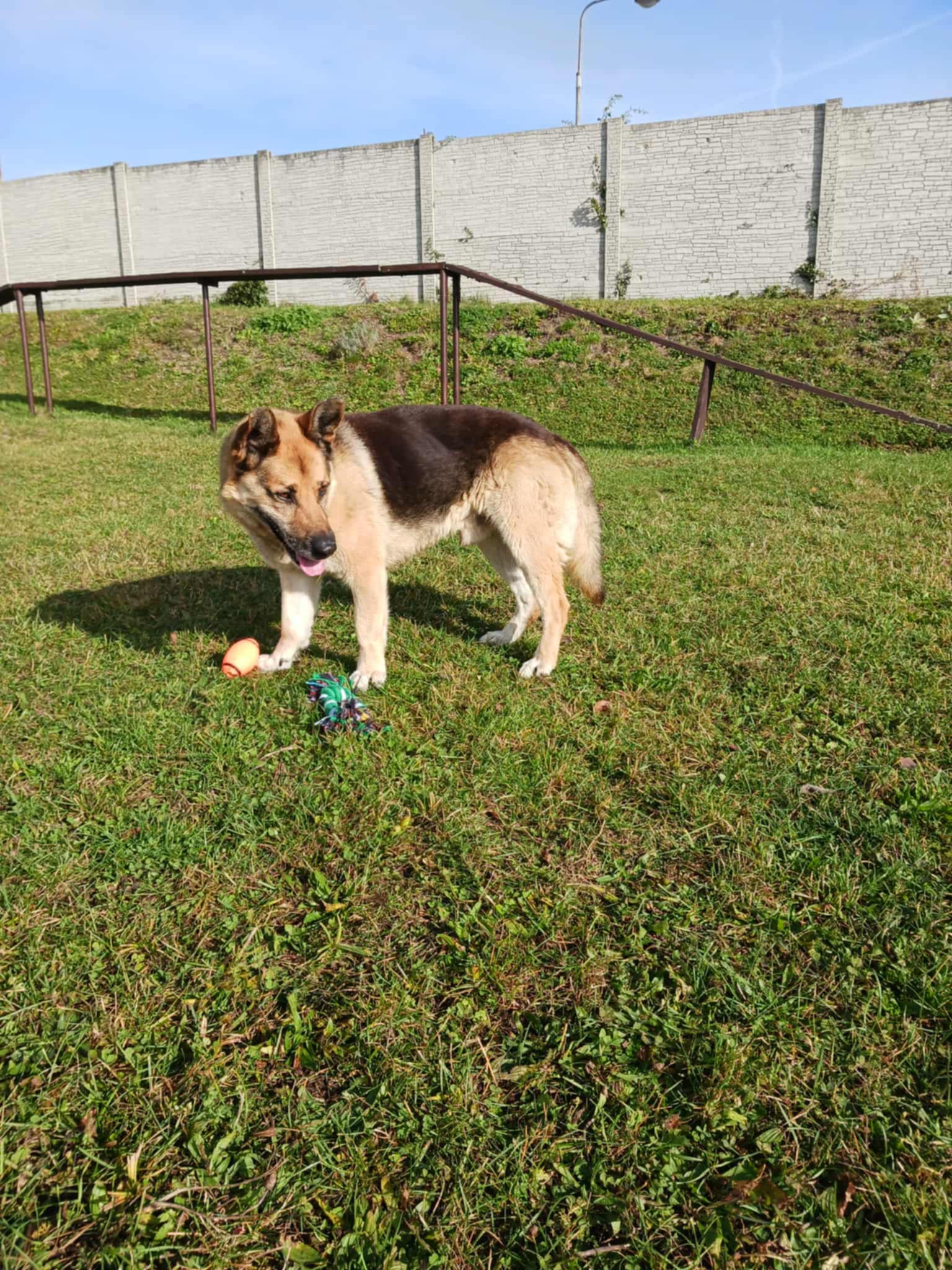 Messenger_creation_38C468CB-24B2-4753-8D93-925371C601E3