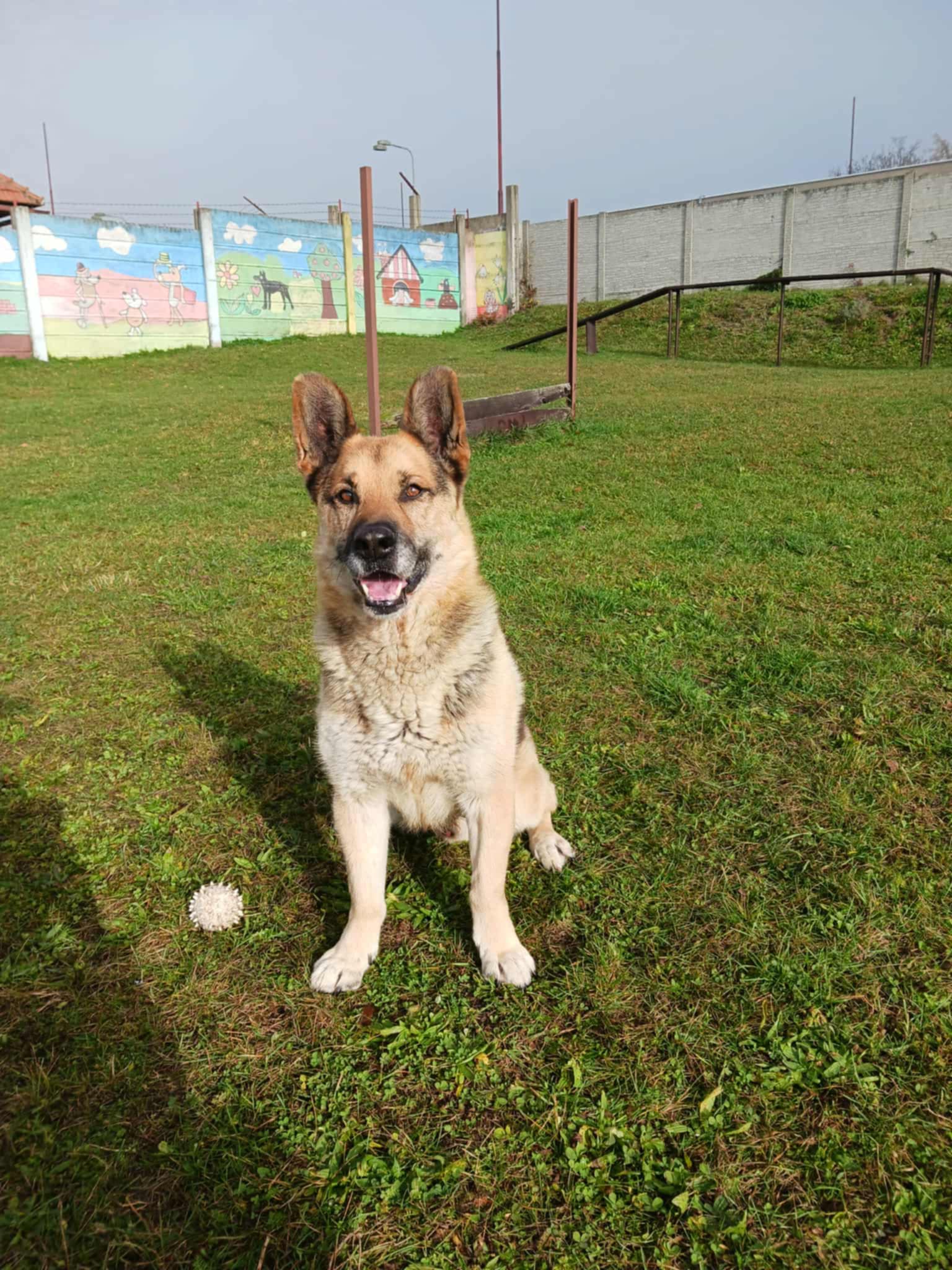 Messenger_creation_1DF324DE-675F-4143-B2C1-CD184E7AB186