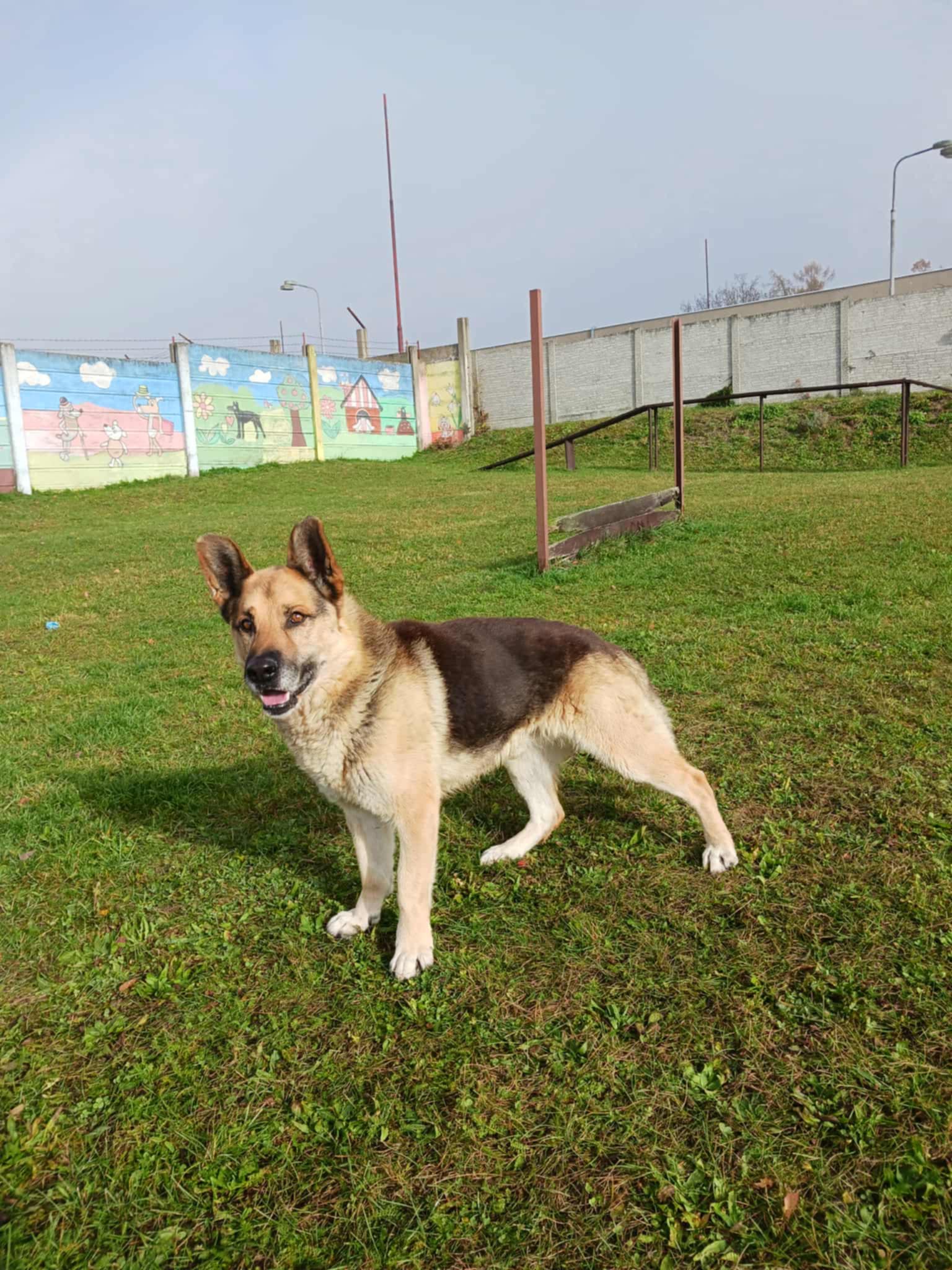 Messenger_creation_46FEC156-4F06-431C-A612-FCACC2C33527