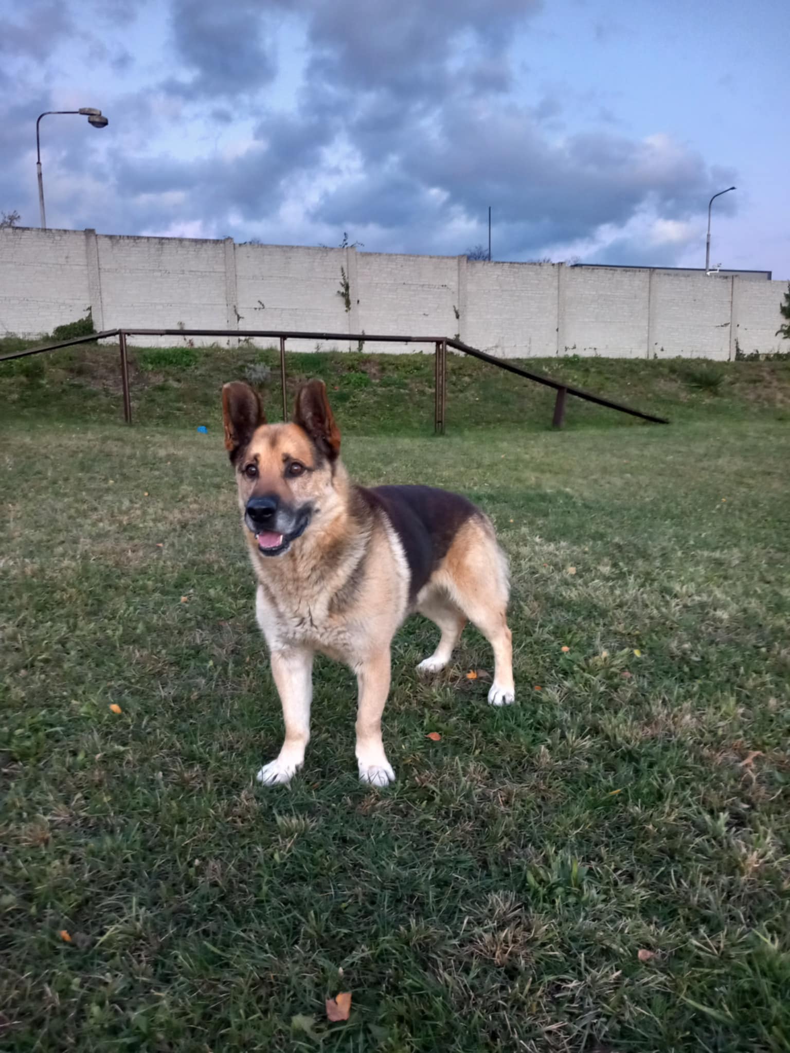 Messenger_creation_9E2A8724-31E0-4DDB-8D68-0236AEC6C9CE