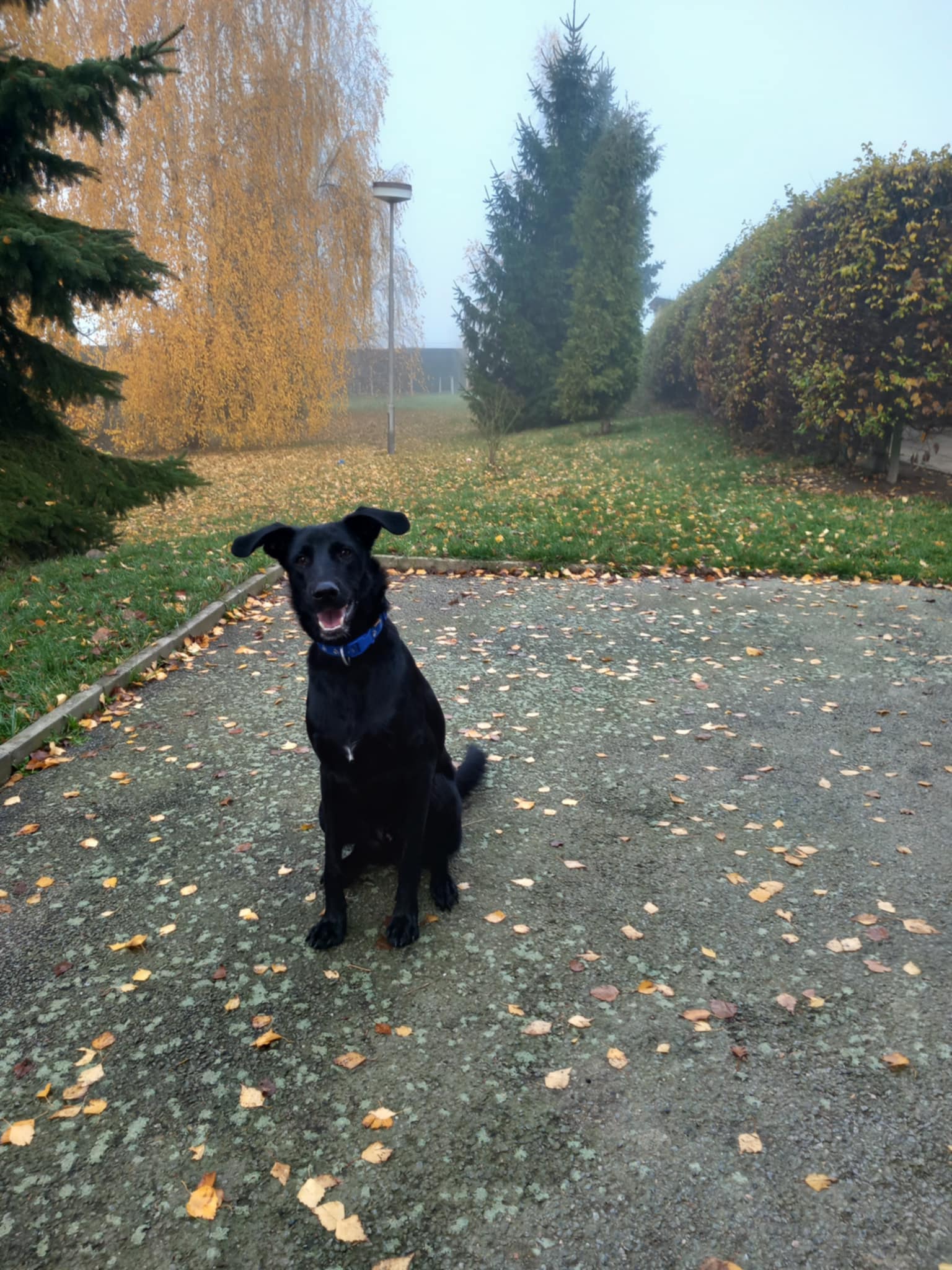 Messenger_creation_3E173D48-3585-4FE9-82C4-D0A61E841C97