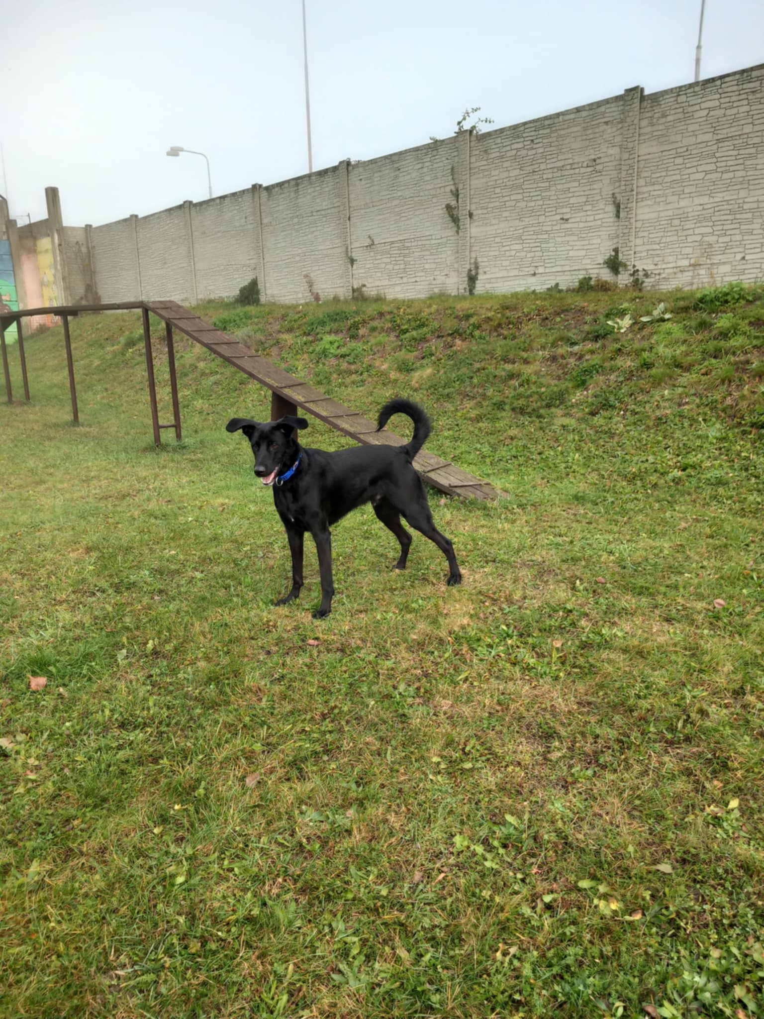 Messenger_creation_DFD0405E-681C-4F7E-A689-89D76DE1CA2F