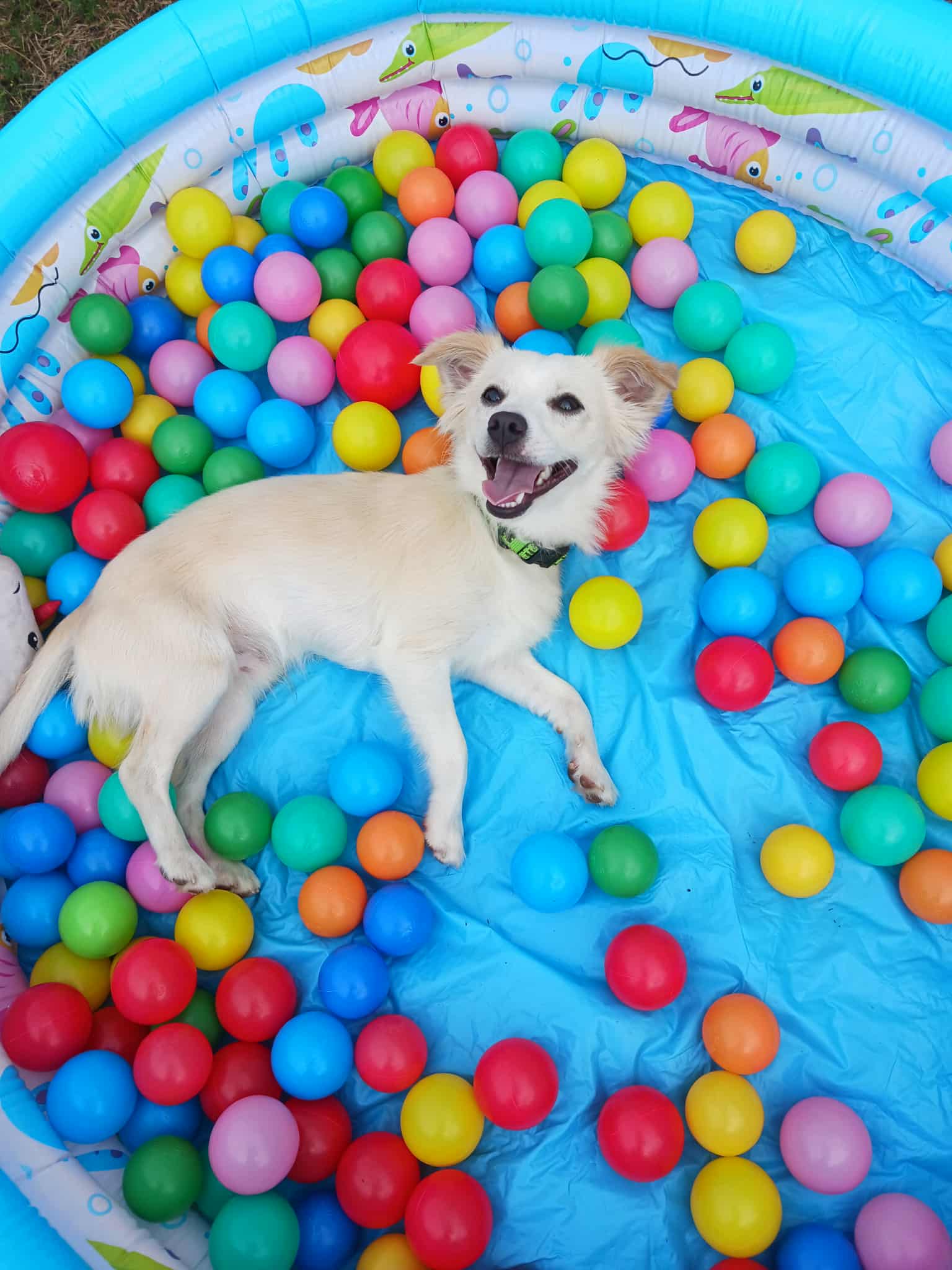 Messenger_creation_5BB1AB4A-353C-4B64-9B86-D013E15CF3AF