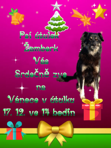 christmas-party-invitation_1668618732358.png