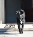 Argo, Zoro 062